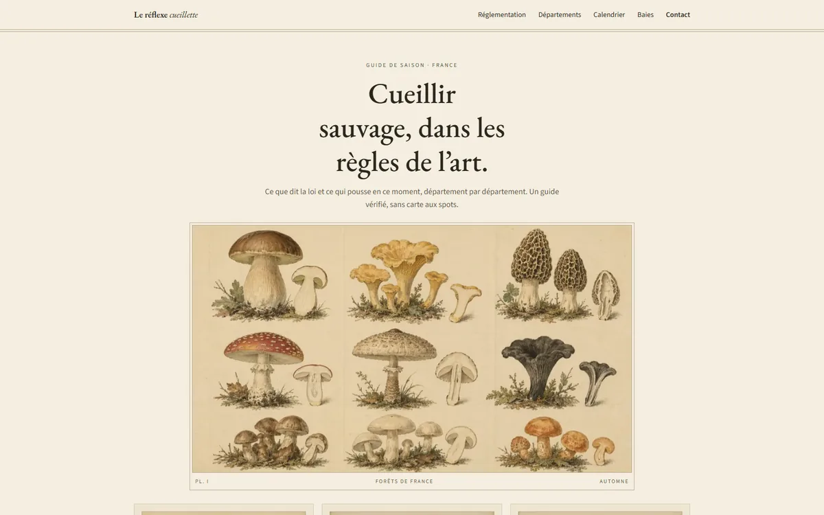 Page d’accueil du site Le réflexe cueillette : le titre « Cueillir sauvage, dans les règles de l’art. » au-dessus d’une planche de champignons dessinés.
